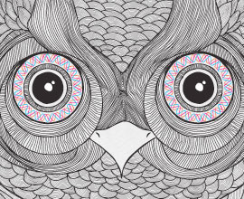 充满希望的在线网页使用电话轰炸机